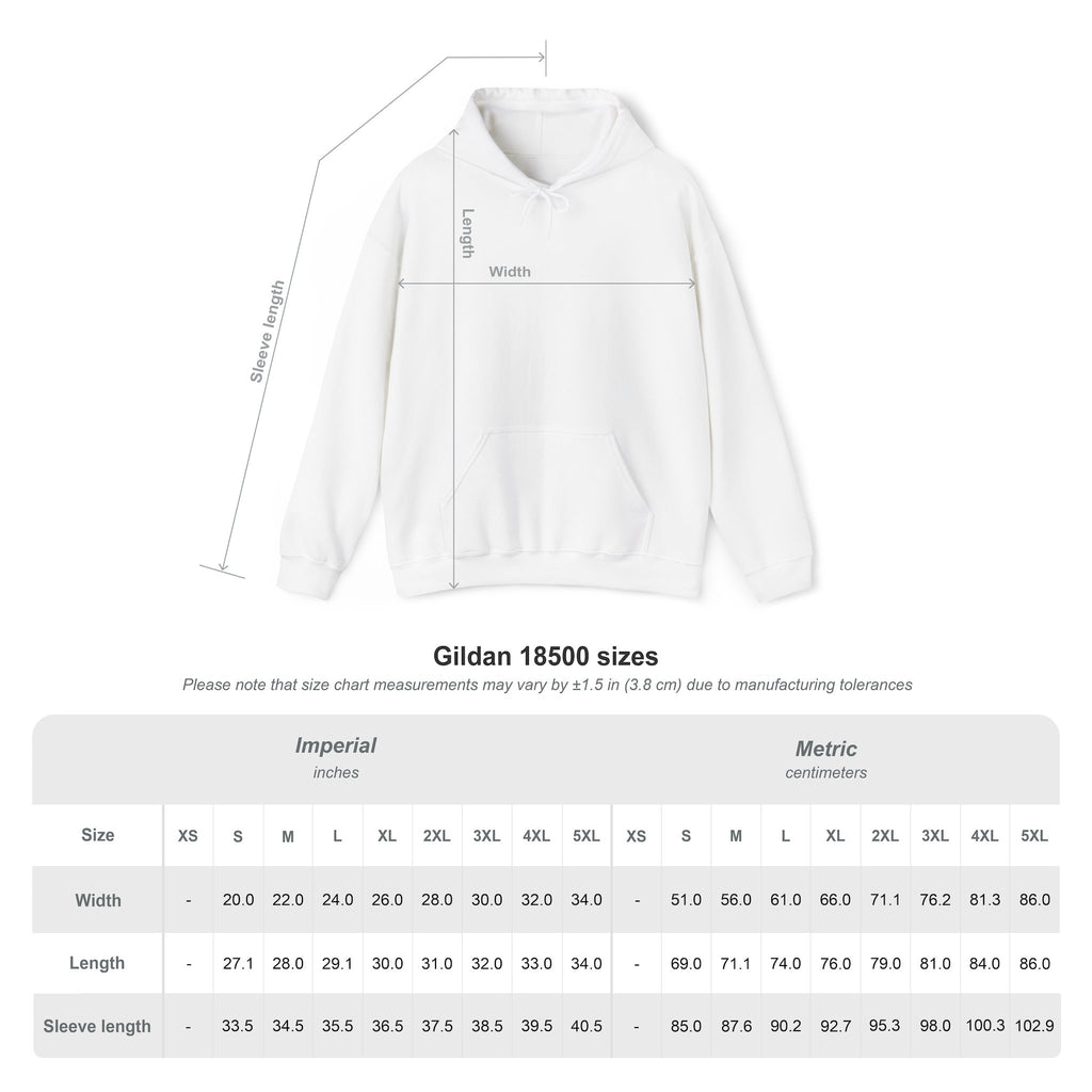 Texas Hoodie — "Bitch I'm from Texas"